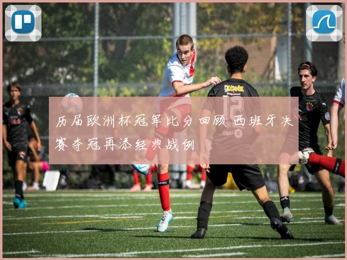 历届欧洲杯冠军比分回顾 西班牙决赛夺冠再添经典战例