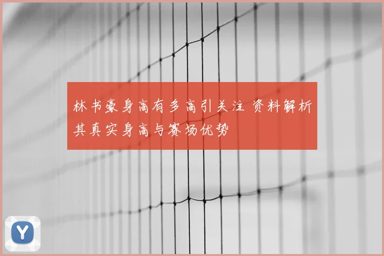 林书豪身高有多高引关注 资料解析其真实身高与赛场优势